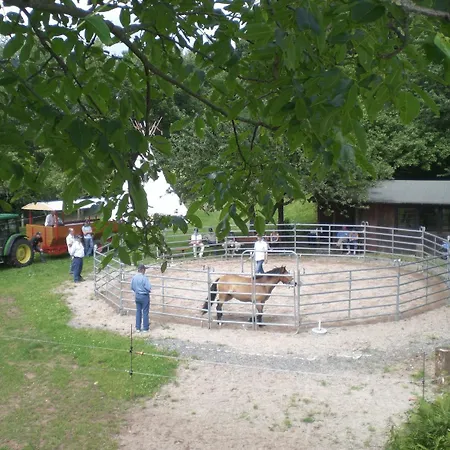 酒店 赫希酒店 3*