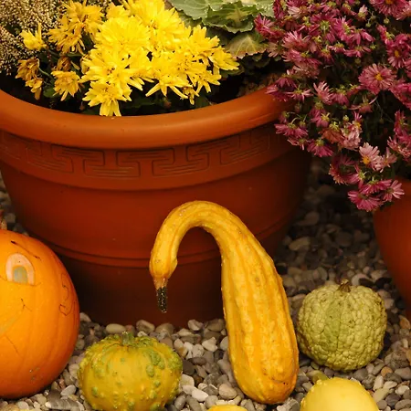 酒店 赫希酒店 罗滕伯格