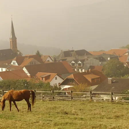 赫希酒店 3* 罗滕伯格