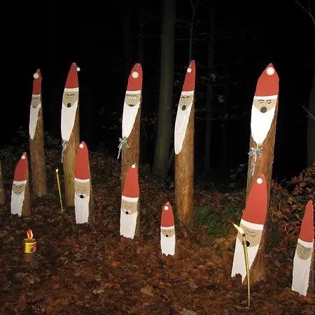 酒店 赫希酒店 3*