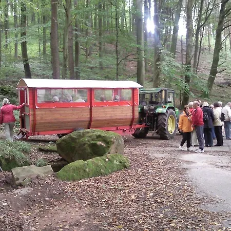 Hirsch 3*
