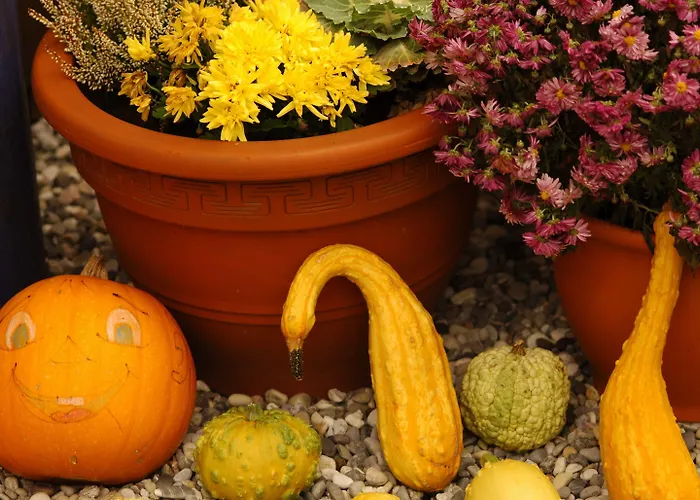 Hotel Hirsch Rothenberg